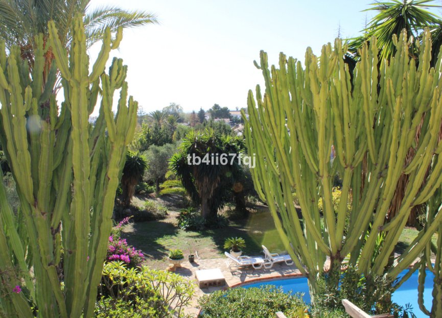 Resale - House - Detached Villa - Estepona - Atalaya