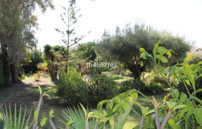 Resale - House - Detached Villa - Estepona - Atalaya