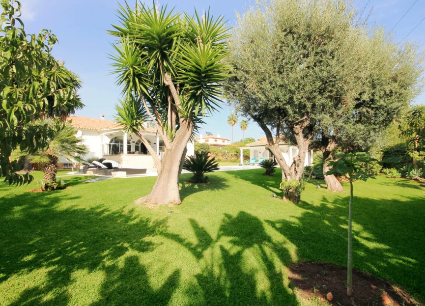 Resale - House - Detached Villa - Marbella - Marbella Centro