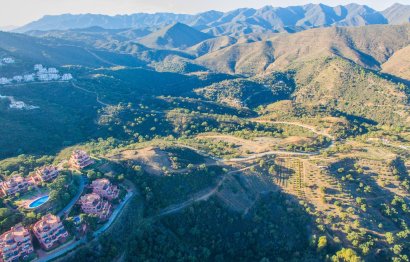 Obra nueva - House - Finca - Cortijo - Marbella - La Mairena