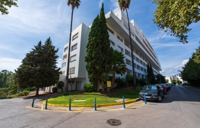 Resale - Apartment - Middle Floor Apartment - Marbella - Guadalmina Alta