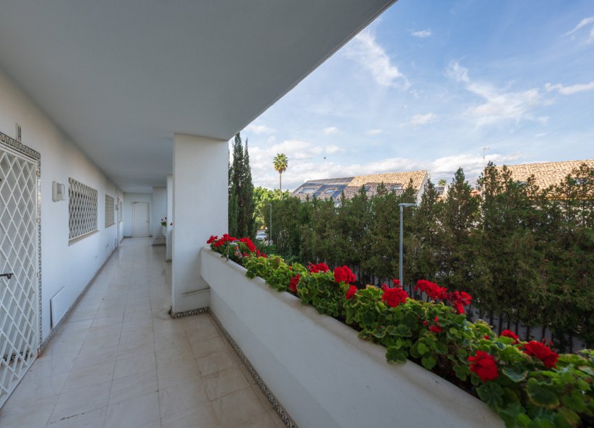 Resale - Apartment - Middle Floor Apartment - Marbella - Guadalmina Alta