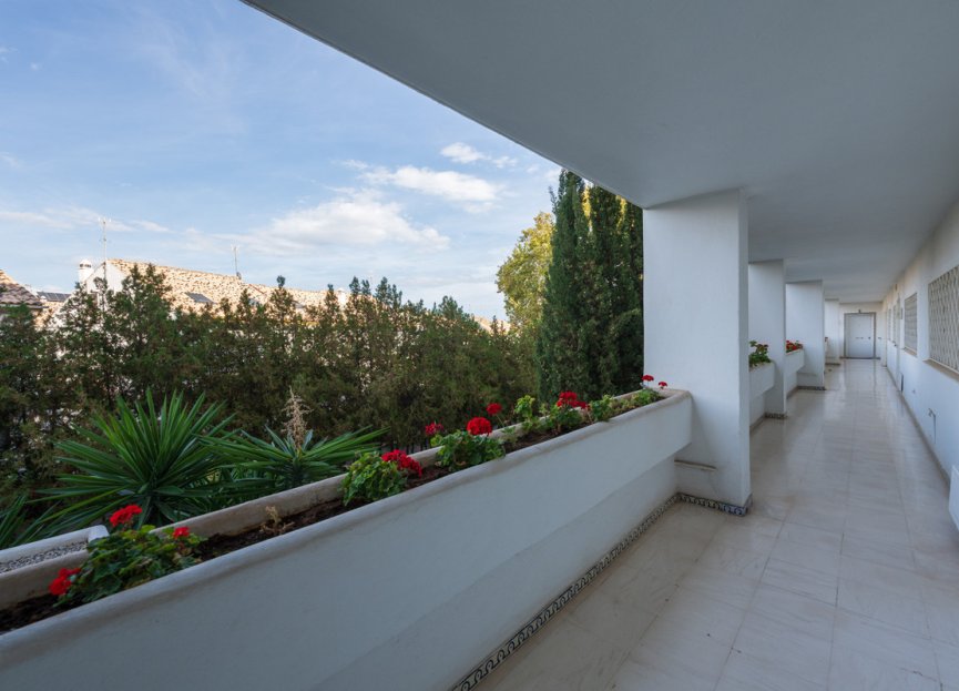 Resale - Apartment - Middle Floor Apartment - Marbella - Guadalmina Alta