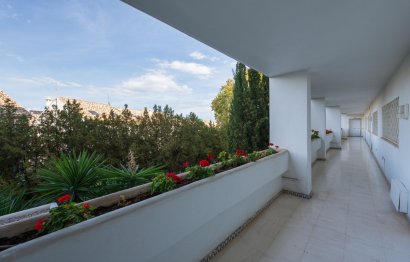 Resale - Apartment - Middle Floor Apartment - Marbella - Guadalmina Alta