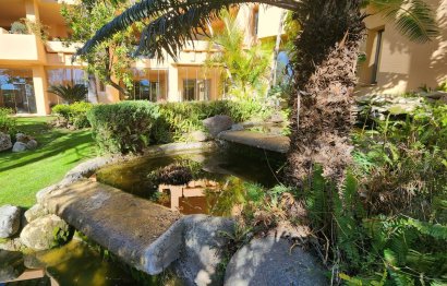 Resale - Apartment - Ground Floor Apartment - Marbella - Marbella Centro