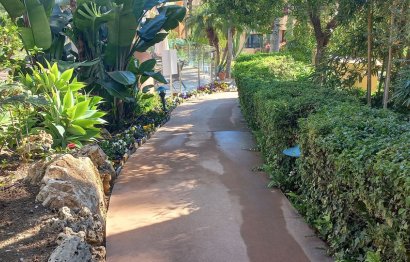 Reventa - Apartment - Ground Floor Apartment - Marbella