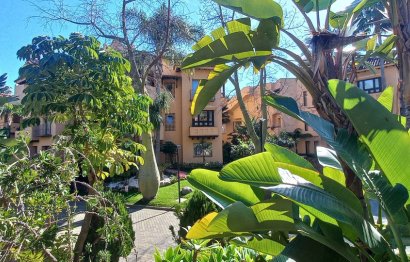 Resale - Apartment - Ground Floor Apartment - Marbella - Marbella Centro