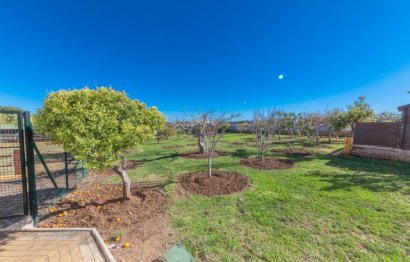 Resale - House - Detached Villa - Estepona - El Padron