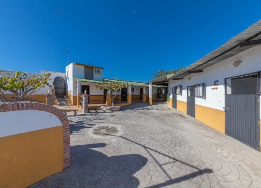 Reventa - House - Detached Villa - Estepona - El Padron