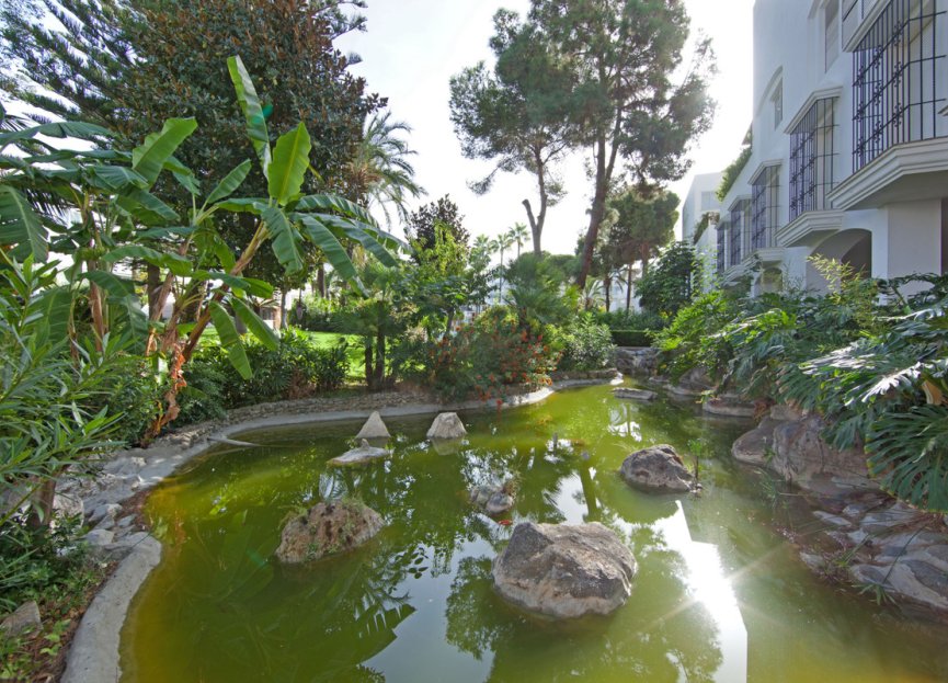 Resale - Apartment - Ground Floor Apartment - Marbella - Elviria