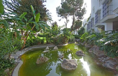 Resale - Apartment - Ground Floor Apartment - Marbella - Elviria