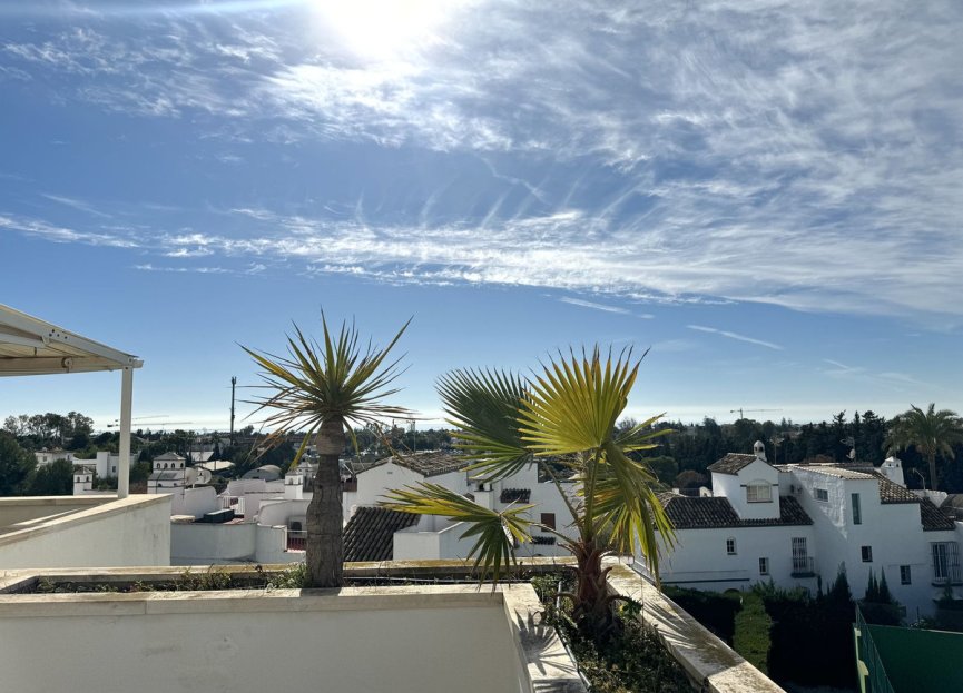 Resale - Apartment - Top Floor Apartment - Marbella - Nueva Andalucia