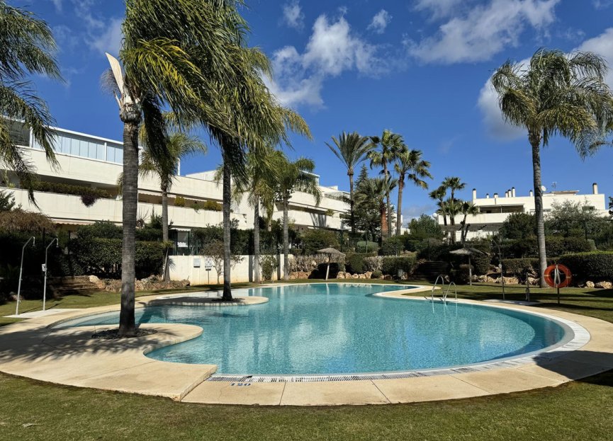 Resale - Apartment - Top Floor Apartment - Marbella - Nueva Andalucia