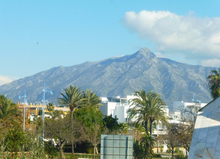 Resale - House - Detached Villa - Marbella - Marbella Centro