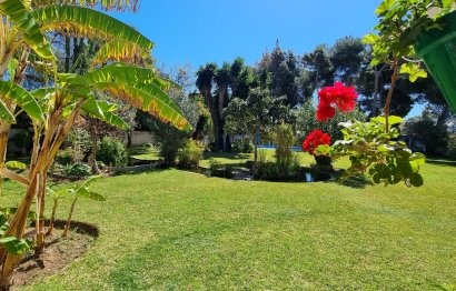 Resale - House - Detached Villa - Marbella - Puerto Banús