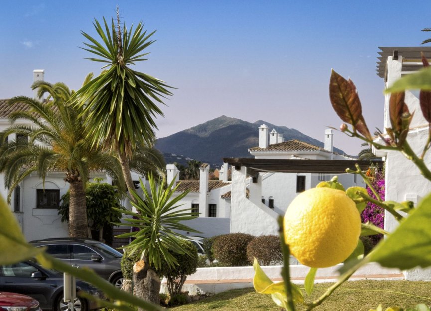 Resale - Apartment - Ground Floor Apartment - Marbella - Nueva Andalucia