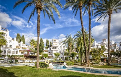 Resale - Apartment - Ground Floor Apartment - Marbella - Nueva Andalucia