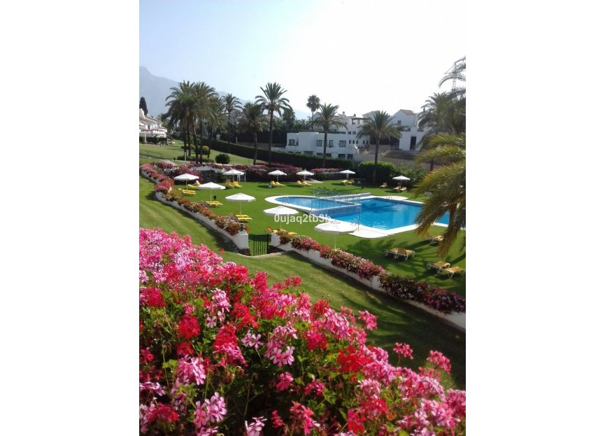 Resale - Apartment - Top Floor Apartment - Marbella - Nueva Andalucia