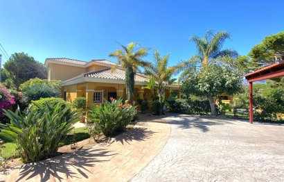 Resale - House - Detached Villa - Marbella - El Rosario