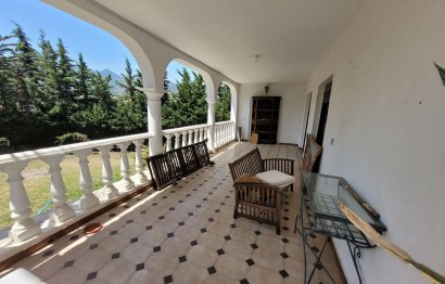 Resale - House - Detached Villa - Marbella - Río Real