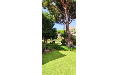 Resale - Apartment - Ground Floor Apartment - Marbella - Elviria