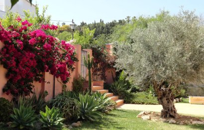 Resale - House - Detached Villa - Estepona - Estepona Centro