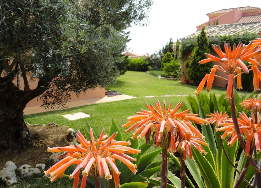 Reventa - House - Detached Villa - Estepona - Estepona Centro