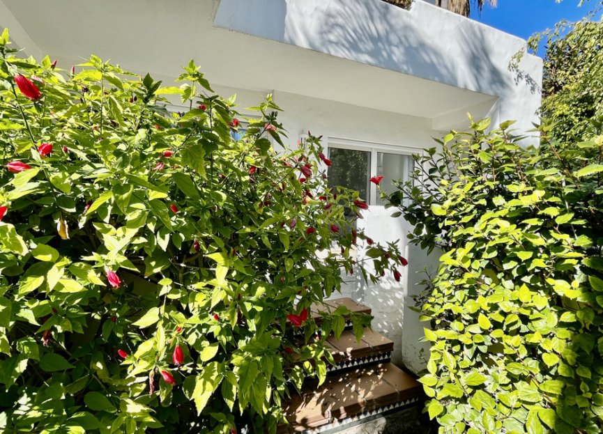 Reventa - Apartment - Ground Floor Apartment - Marbella - The Golden Mile