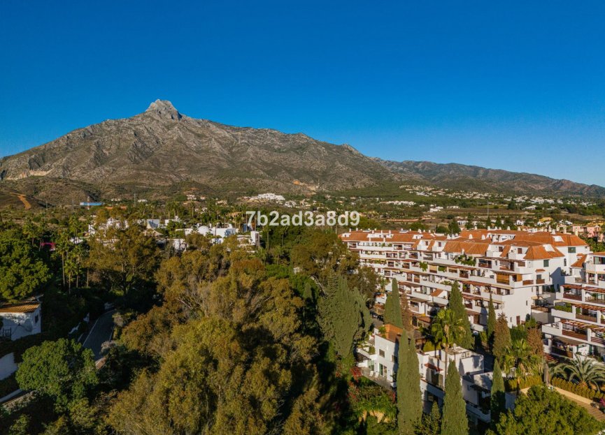 Reventa - Apartment - Ground Floor Apartment - Marbella - The Golden Mile