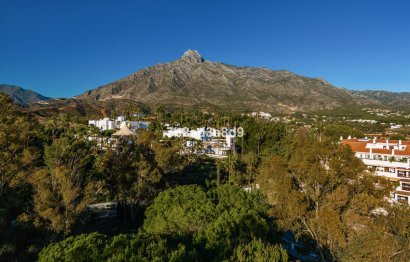 Reventa - Apartment - Ground Floor Apartment - Marbella - The Golden Mile