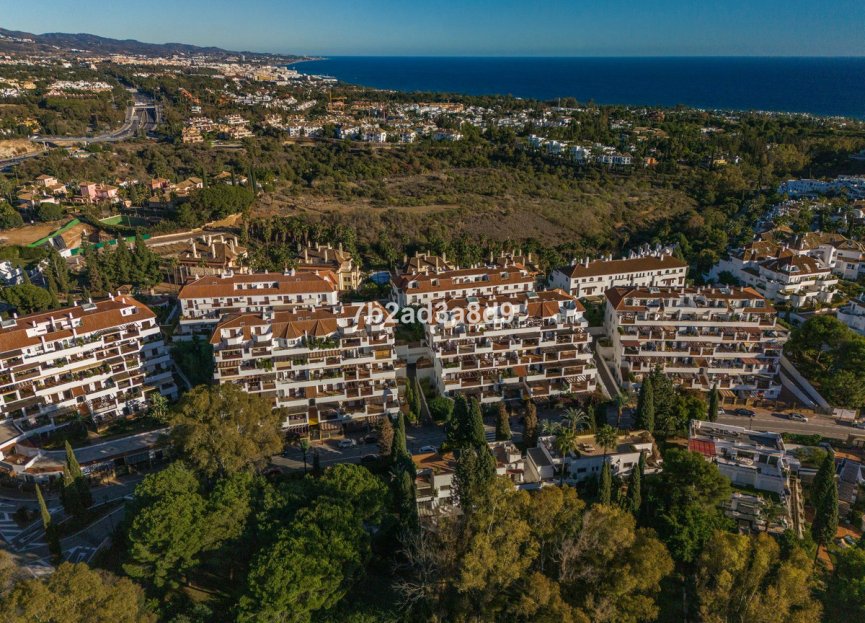 Reventa - Apartment - Ground Floor Apartment - Marbella - The Golden Mile