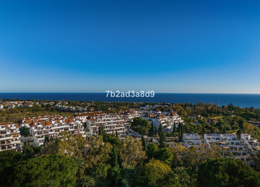 Reventa - Apartment - Ground Floor Apartment - Marbella - The Golden Mile