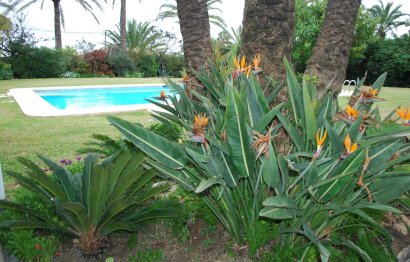 Reventa - House - Detached Villa - Mijas - La Cala De Mijas