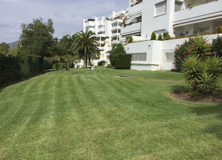 Resale - Apartment - Middle Floor Apartment - Marbella - Guadalmina Alta