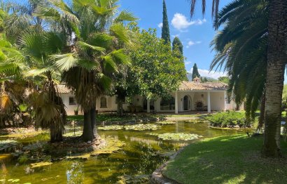 Resale - House - Detached Villa - Marbella - Nagüeles