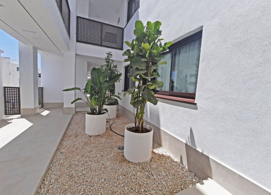 Resale - Apartment - Ground Floor Apartment - Fuengirola - Fuengirola Centro