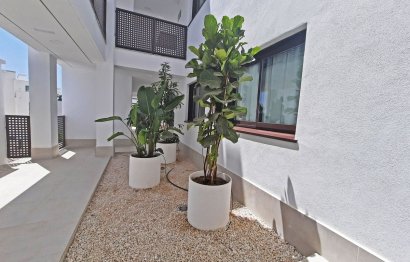 Resale - Apartment - Ground Floor Apartment - Fuengirola - Fuengirola Centro