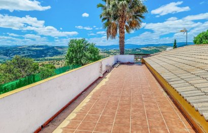 Resale - House - Finca - Cortijo - Casares - Casares Centro