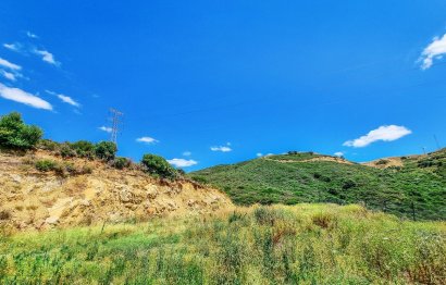 Resale - House - Finca - Cortijo - Casares - Casares Centro