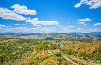 Resale - House - Finca - Cortijo - Casares - Casares Centro