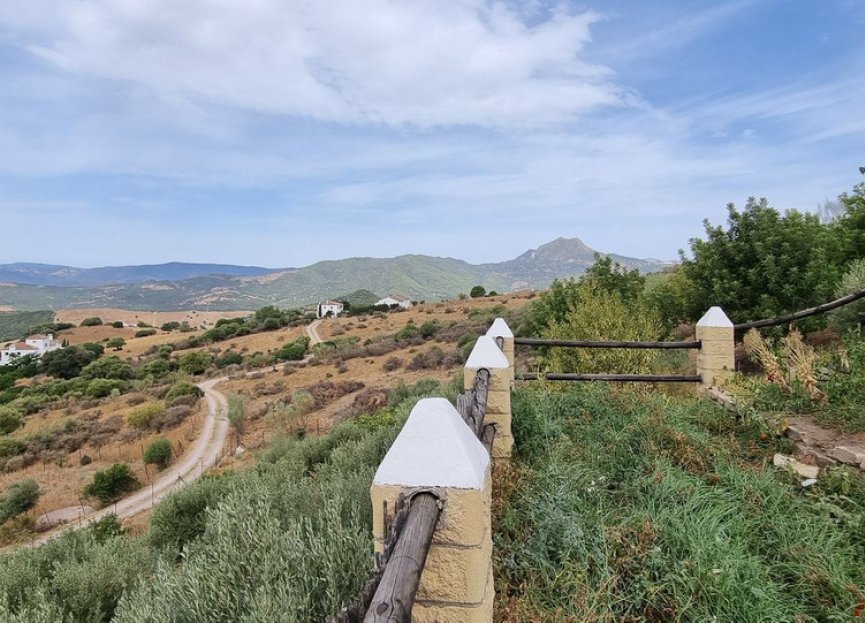 Resale - House - Finca - Cortijo - Casares - Casares Centro