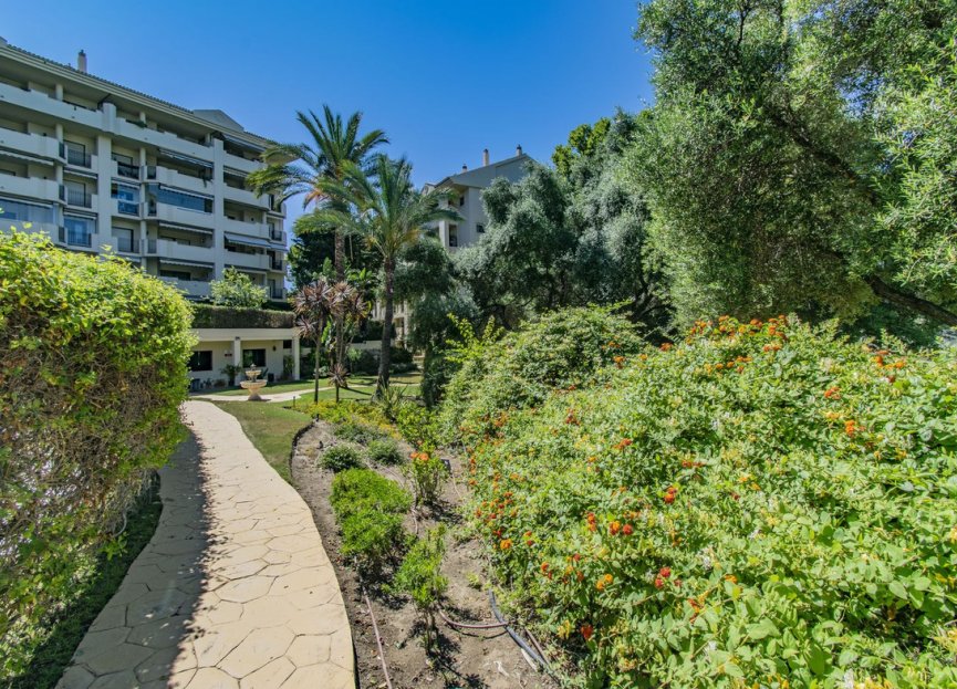 Resale - Apartment - Middle Floor Apartment - Marbella - Guadalmina Alta