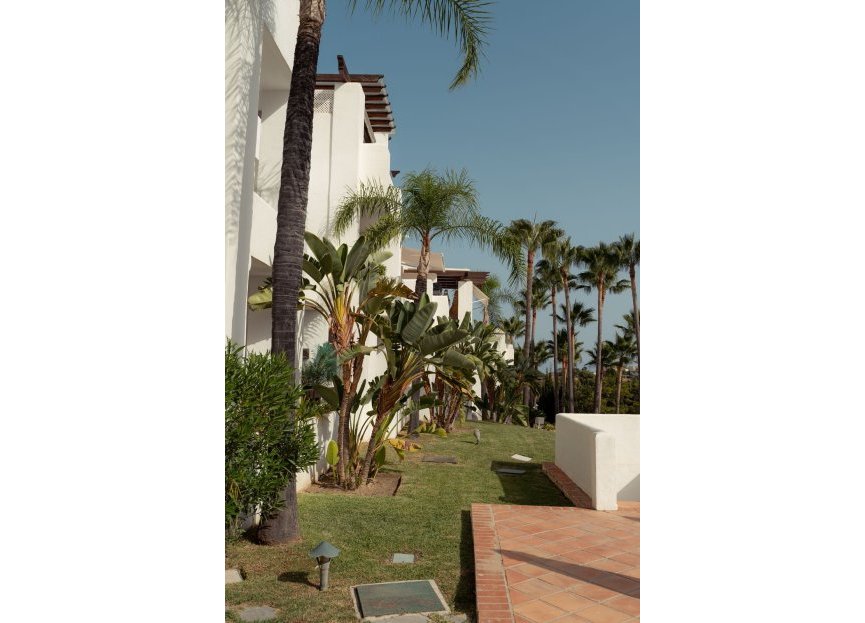 Resale - Apartment - Ground Floor Apartment - Marbella - Nueva Andalucia