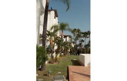 Resale - Apartment - Ground Floor Apartment - Marbella - Nueva Andalucia