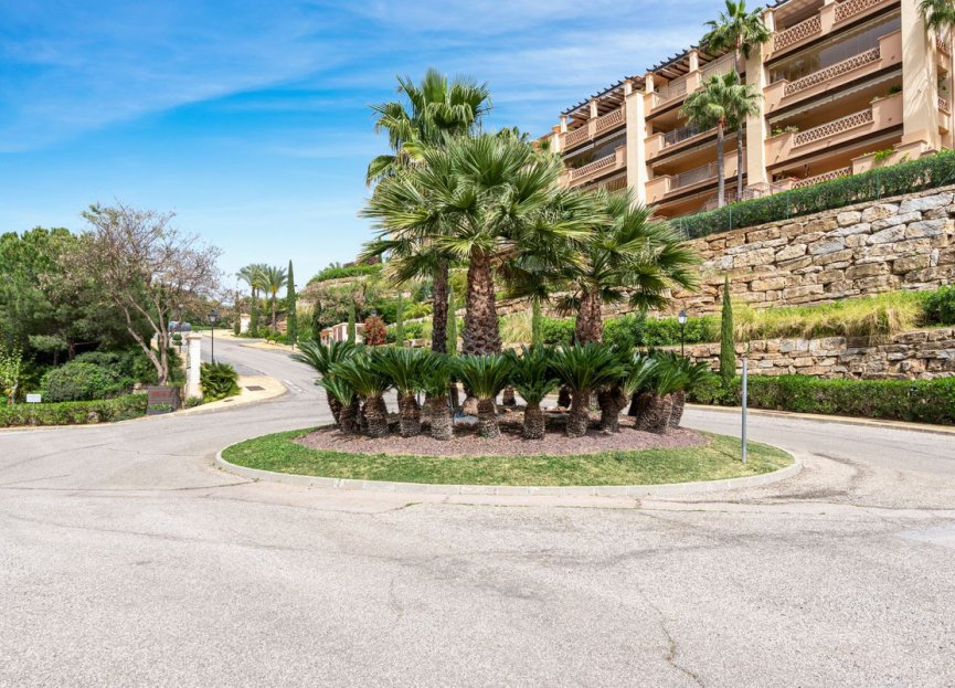 Resale - Apartment - Ground Floor Apartment - Marbella - Río Real