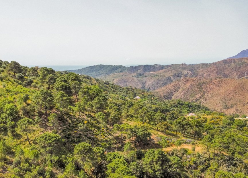 Reventa - Plot - Land - Benahavís - Benahavís Centro