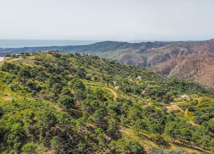 Reventa - Plot - Land - Benahavís - Benahavís Centro