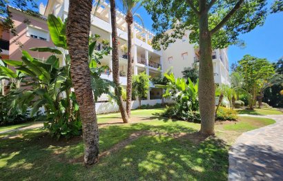 Resale - Apartment - Middle Floor Apartment - Marbella - Nueva Andalucia