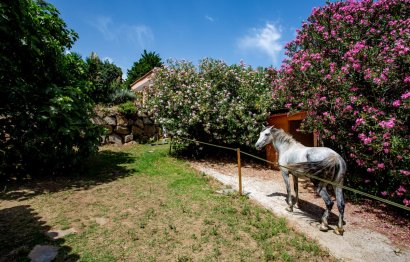 Resale - House - Detached Villa - Benalmádena - Benalmadena Costa