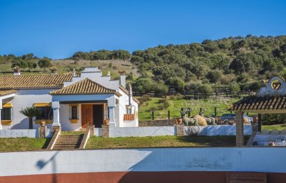 Resale - House - Finca - Cortijo - Estepona - Estepona Centro